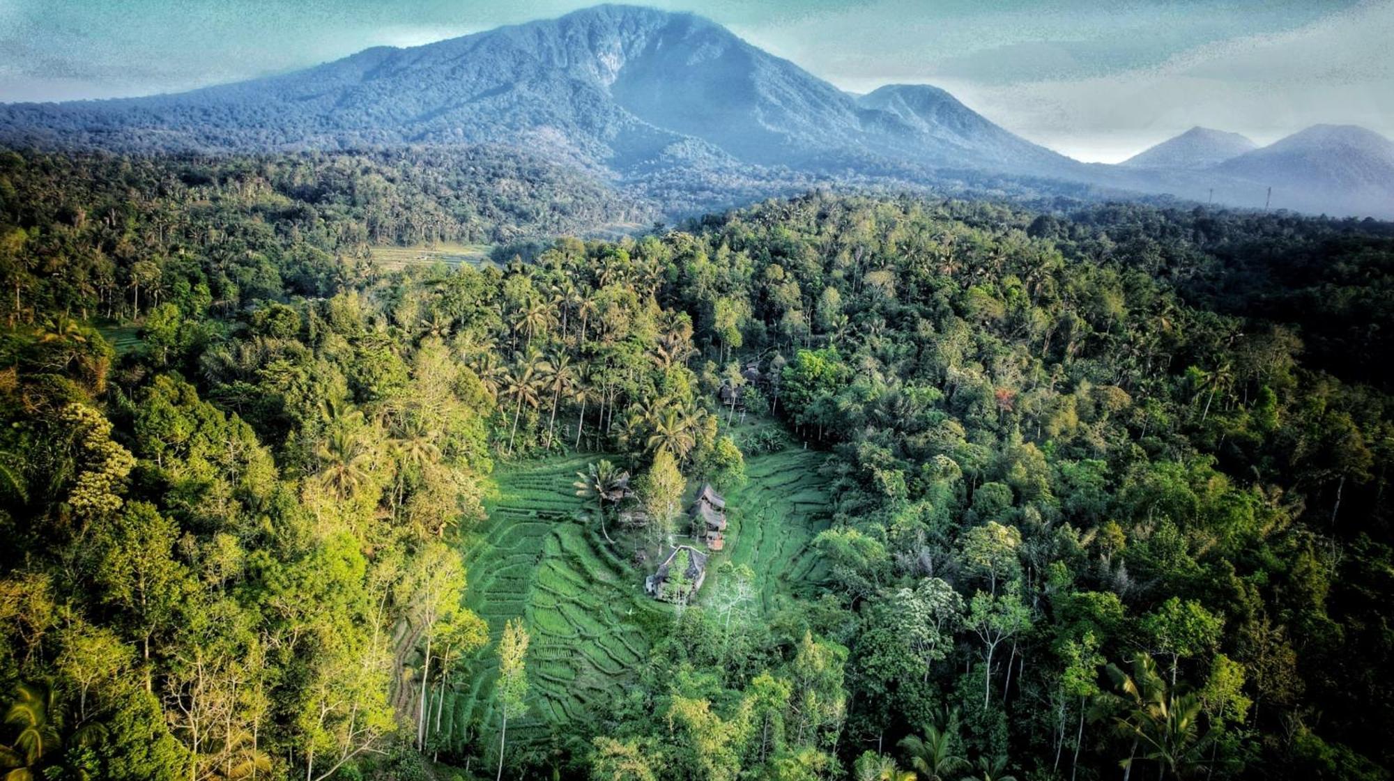 Oemah Tepi Sawah Villa Jatiluwih Exterior photo
